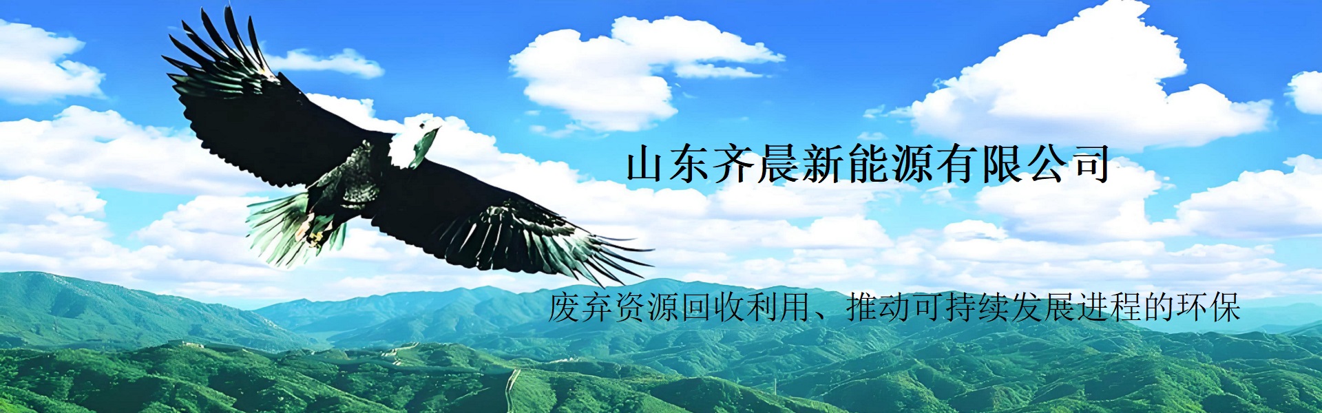 山东齐晨新能源有限公司