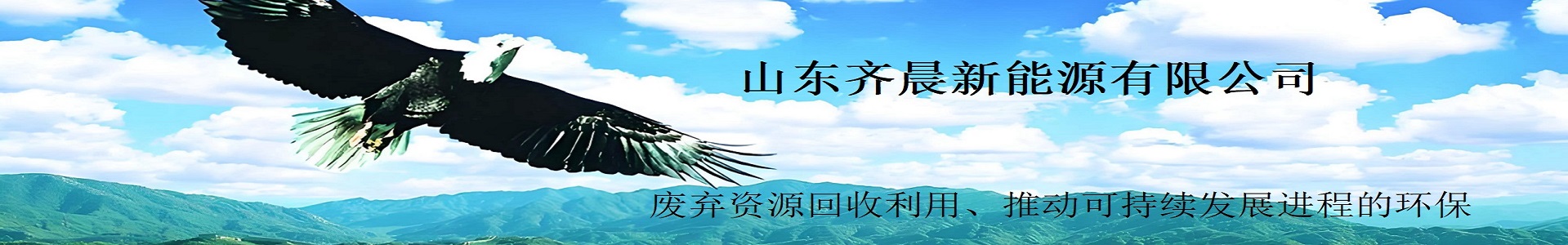 山东齐晨新能源有限公司
